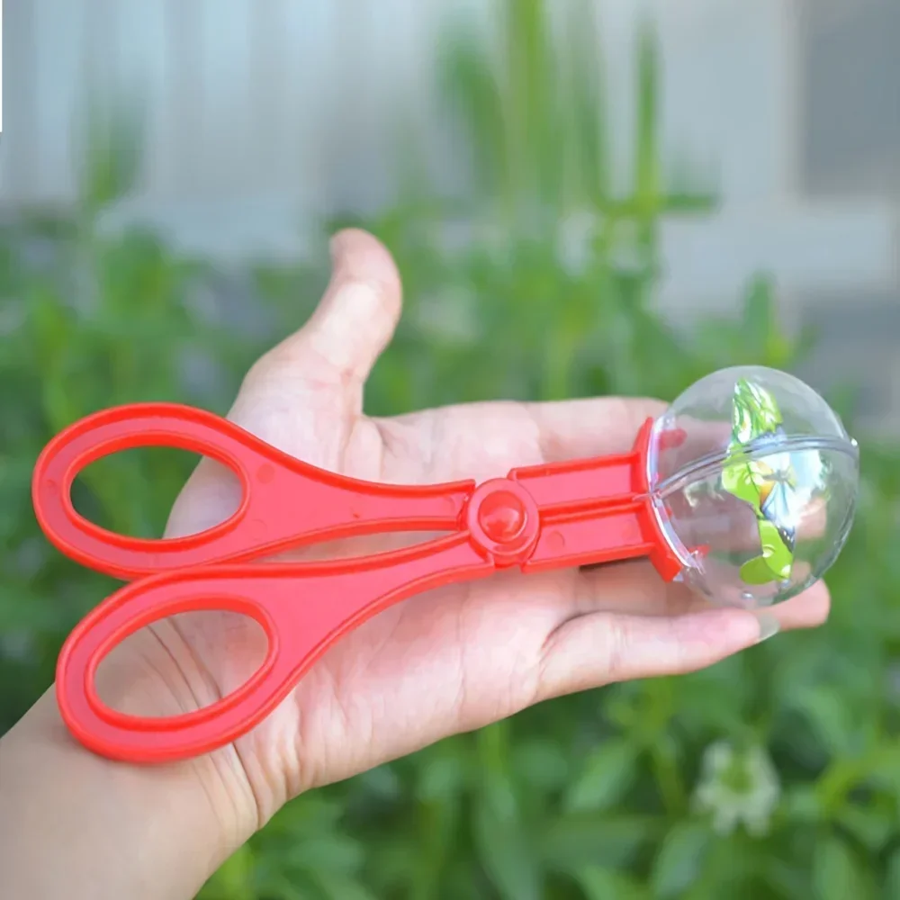 Colorful Large Bead Bug Catchi - Outdoor Adventure Kids ulasan dan harga