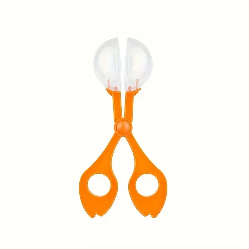 Colorful Large Bead Bug Catchi - Outdoor Adventure Kids ulasan dan harga
