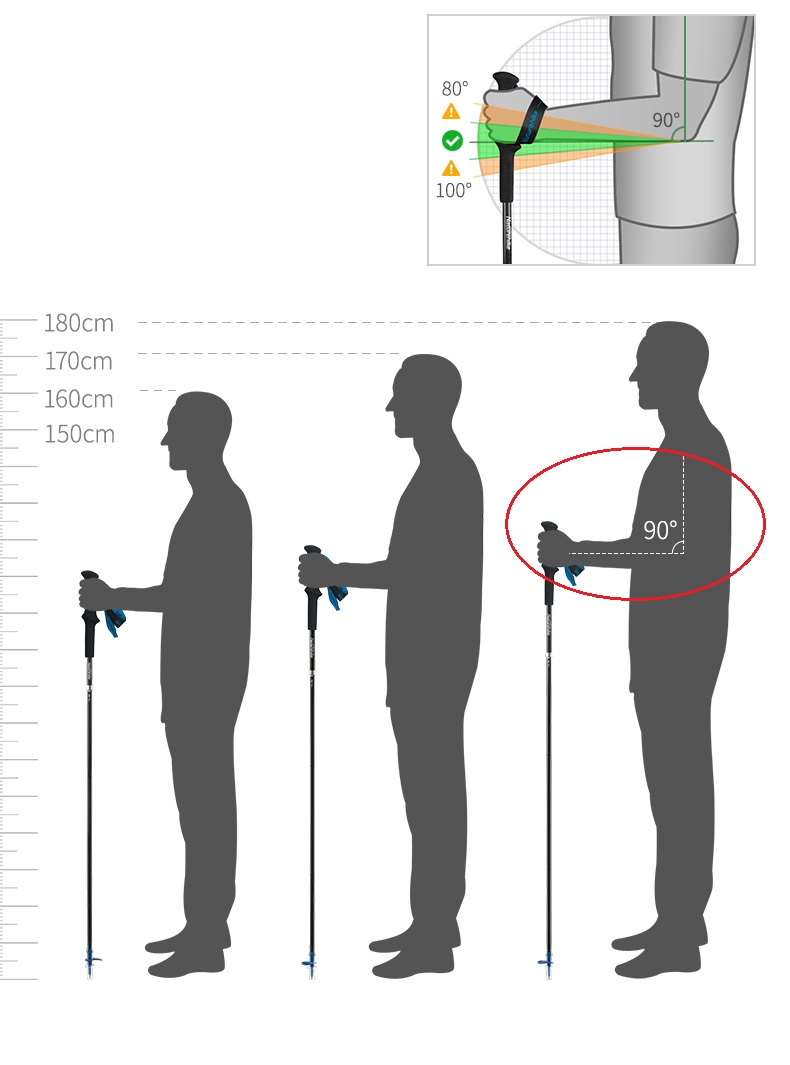 PIONEER Carbon Fiber Trekking  - Trekking Pole Carbon ulasan dan harga